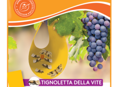 Feromonska zamka Temo-O-Cid Trap Plus za pepeljastog grožđanog moljca (Lobesia botrana)