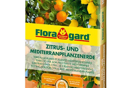 Floragard Zitrus- und mediterranpflanzenerde