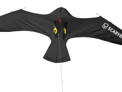 SCARYBIRD