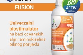 TORA FUSION 250 ml