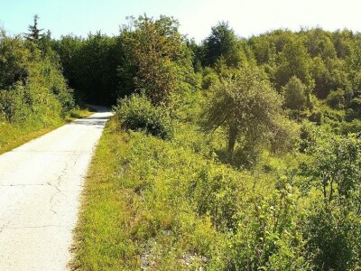 OPG s poljoprivrednim zemljištem u Gorskom Kotaru