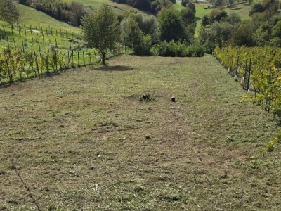 GRAĐEVINSKO ZEMLJIŠTE !