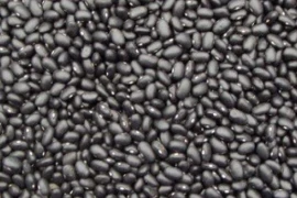 Grah BLACK TURTLE (kornjača) - niski