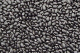 Grah BLACK TURTLE (kornjača) - niski