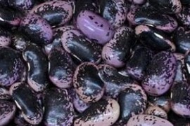 Grah BONELA (žohar) - visoki