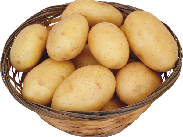 High-quality Fresh Potatoes at Competitive Prices_Supplier from Germany ?? .