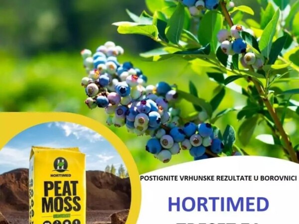 HORTIMED PROFESIONAL BOROVNICA