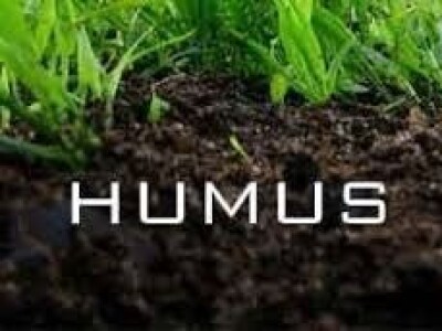 humus kalifornijskih glista