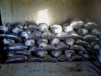 Humus kalifornijskih glista