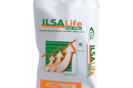 Ilsalife Plus Ferro