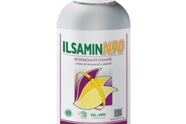 ILSAMIN N90
