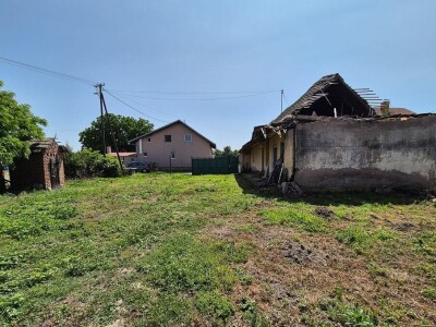 Imanje s nasadom mladih oraha u građevinskoj zoni 6.087 m2 - Tenja