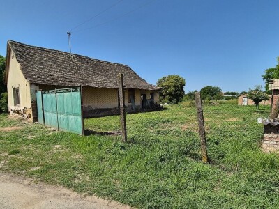 Imanje s nasadom mladih oraha u građevinskoj zoni 6.087 m2 - Tenja