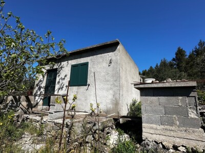 3 šarmantne kućice u masliniku - Čelopike, Blato