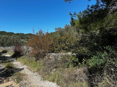 3 šarmantne kućice u masliniku - Čelopike, Blato
