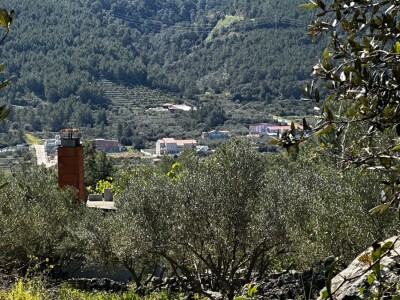 3 šarmantne kućice u masliniku - Čelopike, Blato
