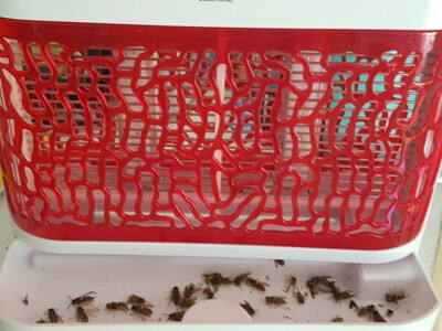 PREMIUM LED UREĐAJI - UČINKOVITA ZAŠTITA OD INSEKATA