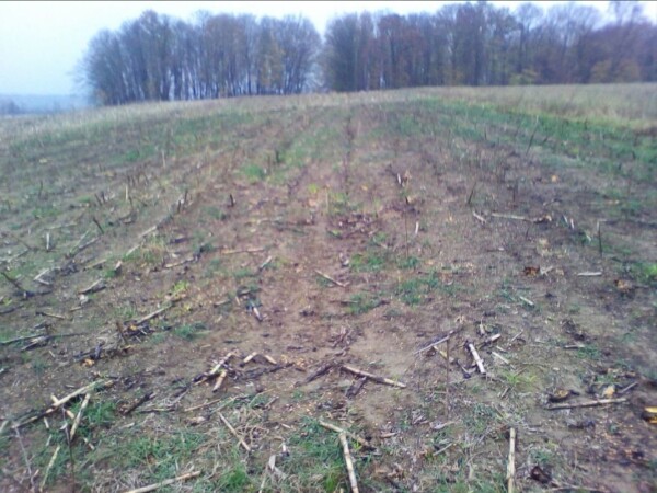 POLJOPRIVREDNO ZEMLJISTE