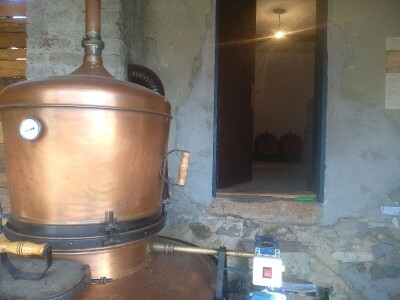 Domaća šljivova prepečenica