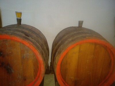 Domaća šljivova prepečenica