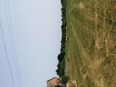 Prodajem imanje 30 hektara zajedno sa mehanizacijom!