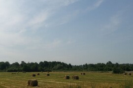 Prodajem imanje 30 hektara zajedno sa mehanizacijom!