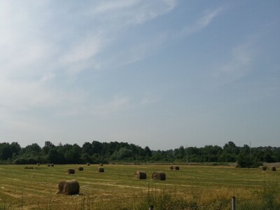 Prodajem imanje 30 hektara zajedno sa mehanizacijom!
