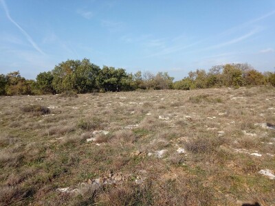 Prodajem šumu, Bale, Istarska županija