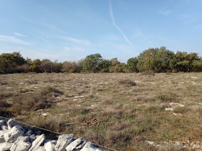 Prodajem šumu, Bale, Istarska županija