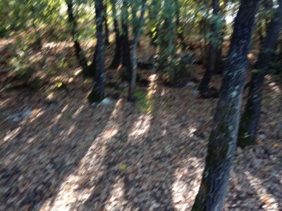 Prodajem šumu, Bale, Istarska županija