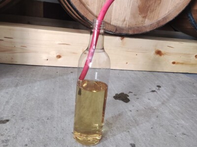 Rakija od šljive 0621556450