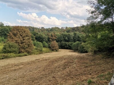 Zemljište/imanje 33000m2