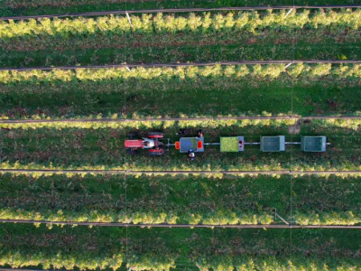 Voćarska kolica "Novi Ćira "