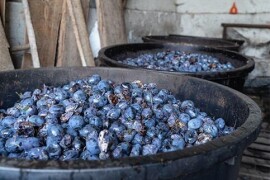 meka šljivova rakija 0612844279