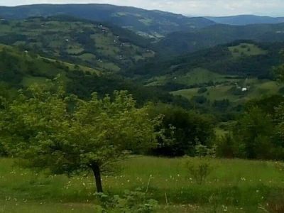 Porodično komplet domaćinstvo