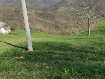 Porodično komplet domaćinstvo