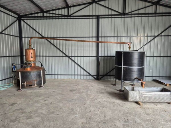 Rakija od sljive 0614094349