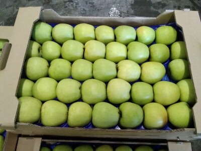 Prodajem jabuke - sorte idared, golden delicious, gala, jonagold, granny smith, topaz