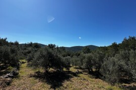 3 šarmantne kućice u masliniku - Čelopike, Blato