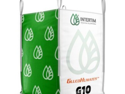 INTERTIM Vivo™ G10