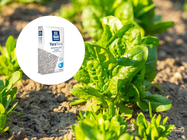 Iskoristite 35% popusta na KristalonTM Super White gnojivo