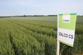 IZALCO CS – RWA POBOLJŠIVAČ, BRKULJA