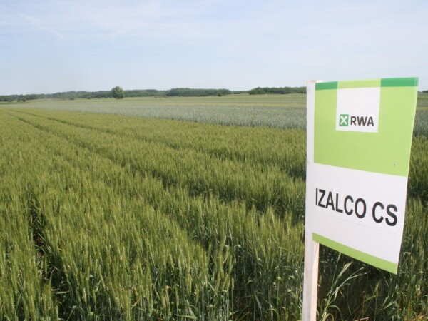 IZALCO CS – RWA POBOLJŠIVAČ, BRKULJA