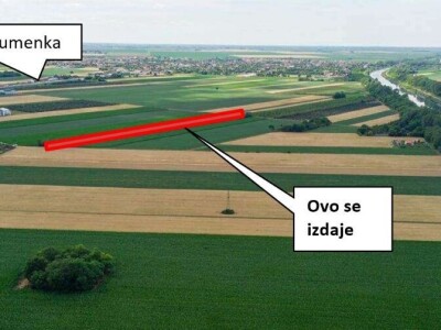 Izdajem voćnjak lešnika u punom rodu(2 jutra),900E/godišnje