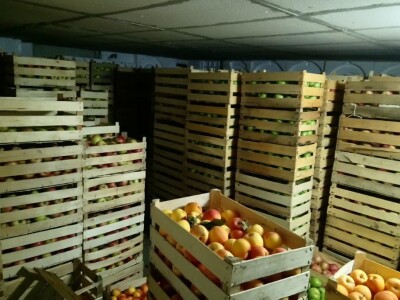 Jabuka veće količine