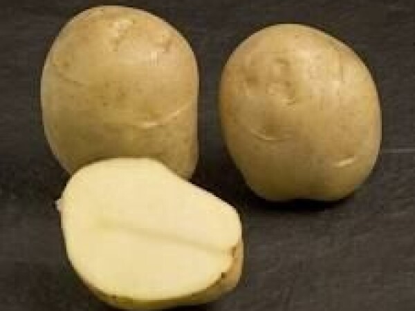 Jaerla 28/35, 10kg poly vreća