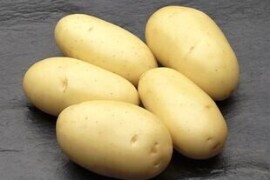 Jaerla 35/55, 10 kg poly vreća