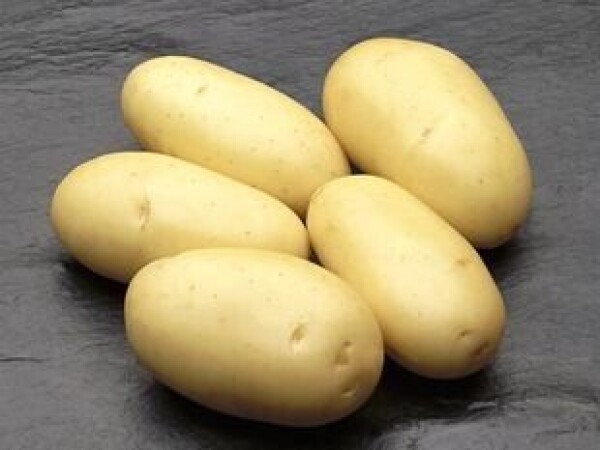 Jaerla 35/55, 10 kg poly vreća