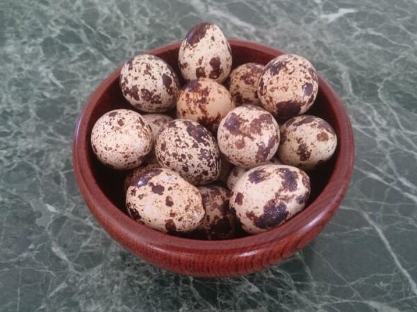 Jaja japanske prepelice