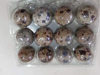 Jaja japanskih prepelica